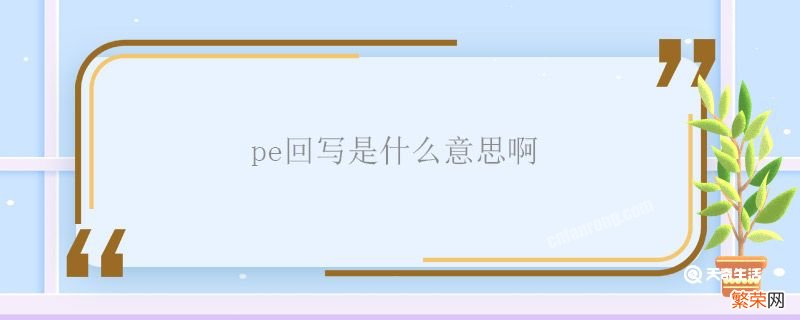 pe回写是什么意思啊 pe回写是什么