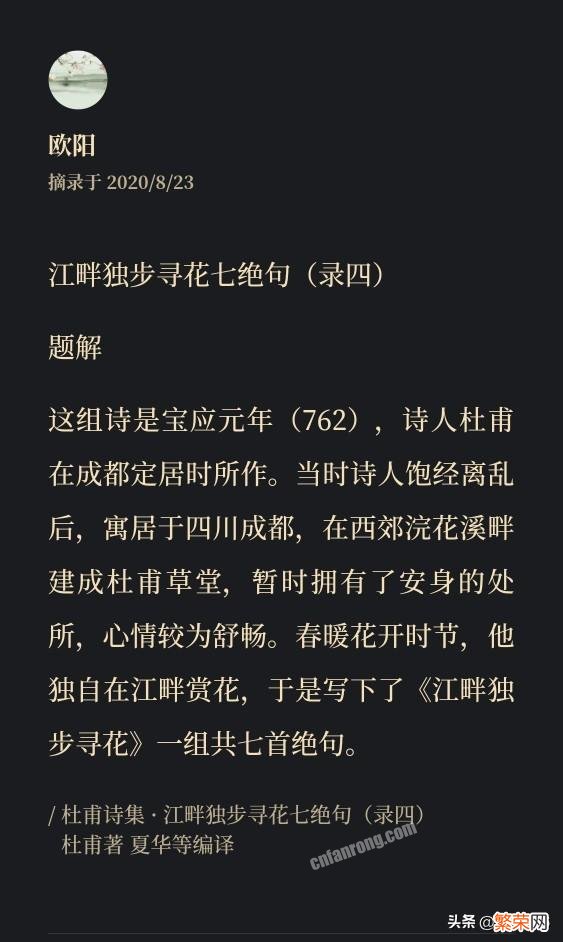 《江畔独步寻花》写的是什么花？