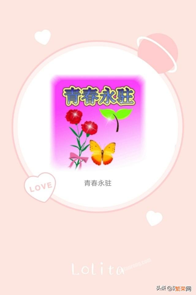 《江畔独步寻花》写的是什么花？