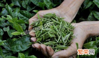 制茶如何提高茶叶的香气 制茶如何提高茶叶的香气呢