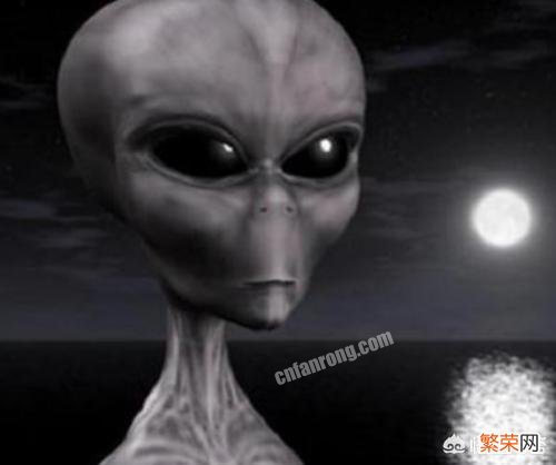 月球背面如果有外星人,地球上的人该如何和它们相处？