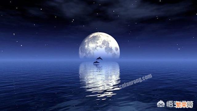 登上月球的人都发现了什么惊人的东西？