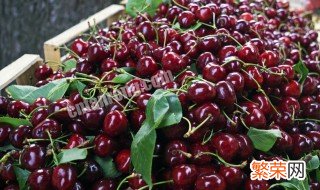 车厘子回味苦正常不 车厘子回味苦的原因分析