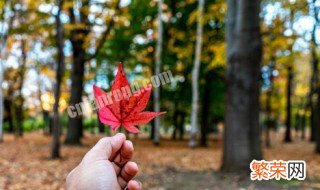 季夏时节是什么意思 夏至季节代表什么意思