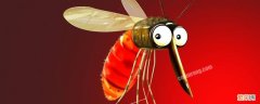蚊子咬人后多久再咬人 蚊子咬人后能活多久