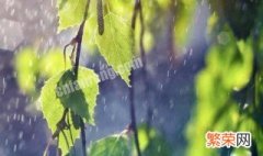 2021年雨水节气的来历简介图片 2021年雨水节气的来历简介