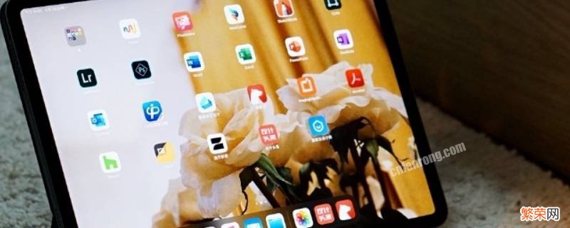 ipad怎么看芯片型号 ipad在哪看芯片型号