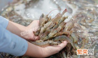 沙虾怎么剥壳 快速生剥沙虾方法