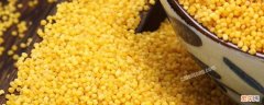沁州黄小米产地在哪 沁州黄小米产地在哪个村