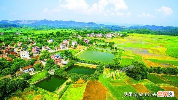 惠州哪些地方有田螺捡？水位低又清澈的地方？