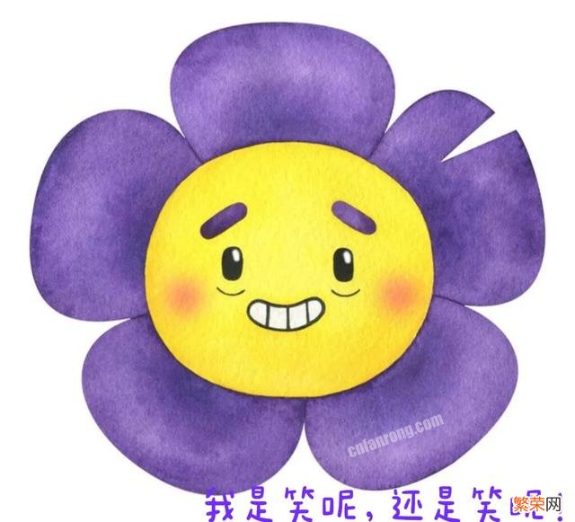 能把人笑的满地打转,停不下来的笑话有哪些?