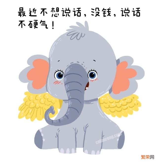 能把人笑的满地打转,停不下来的笑话有哪些?