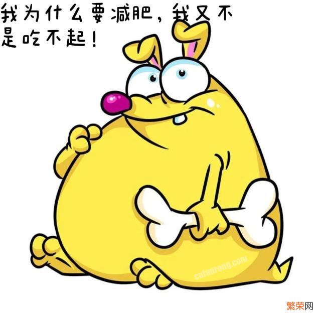 能把人笑的满地打转,停不下来的笑话有哪些?