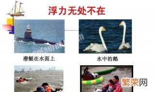 浮力产生的原理是什么 浮力产生的原因