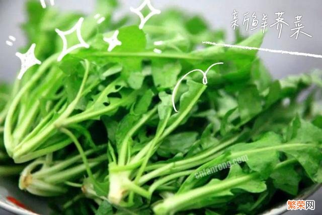 荠菜是一种什么野菜？好吃么？