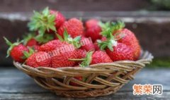 草莓立夏过后能种吗 草莓夏天可以种吗