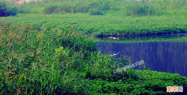 你听说过什么村里的奇异故事？