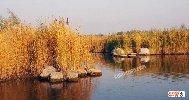 你听说过什么村里的奇异故事？