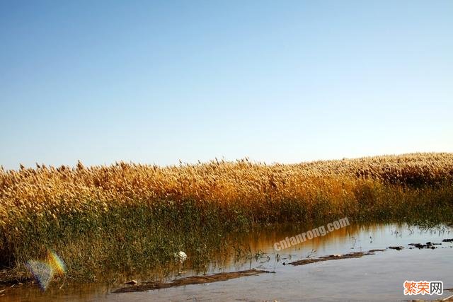 你听说过什么村里的奇异故事？