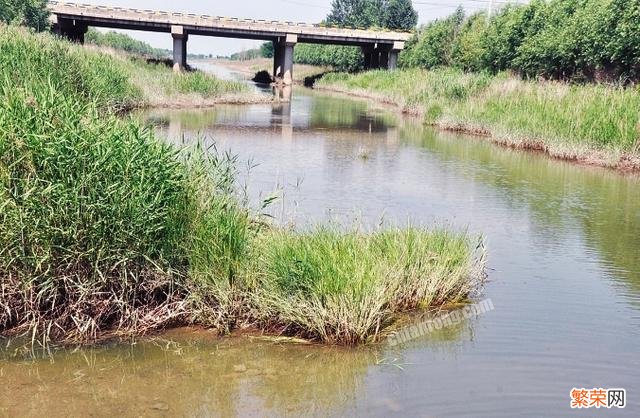 你听说过什么村里的奇异故事？