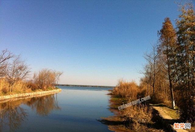 你听说过什么村里的奇异故事？