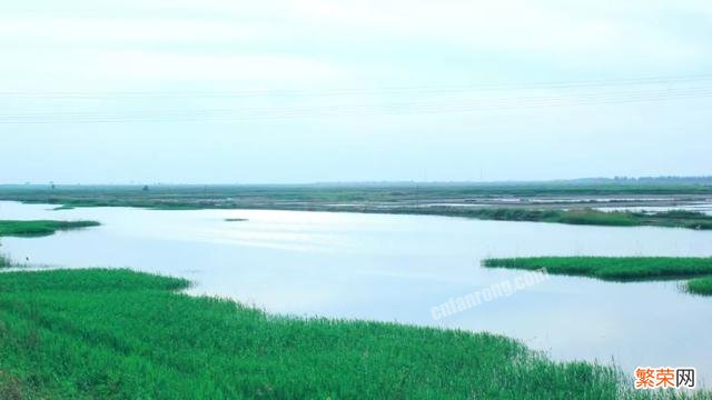 你听说过什么村里的奇异故事？