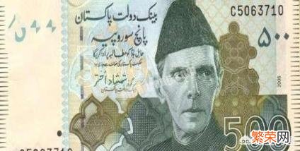 如何评价巴基斯坦的国父阿里真纳？