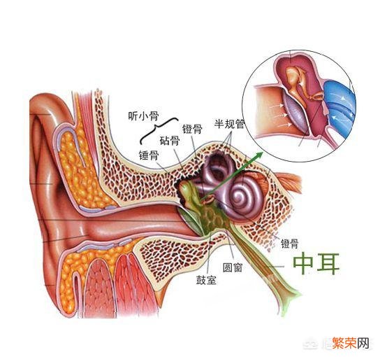 戴AirPods pro走路会传来咚咚的脚步声,有什么办法能消除这个声音？