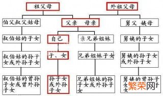 直系亲属包括哪些人 政审三代直系亲属包括哪些人