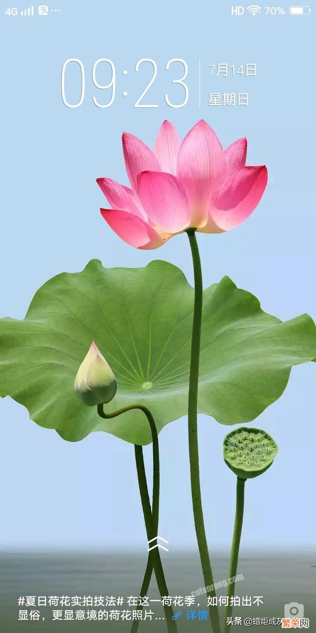 怎样快速学会拼读?