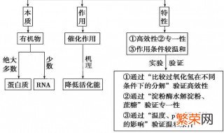 化学反应的基本类型有哪些 初中化学反应的基本类型有哪些