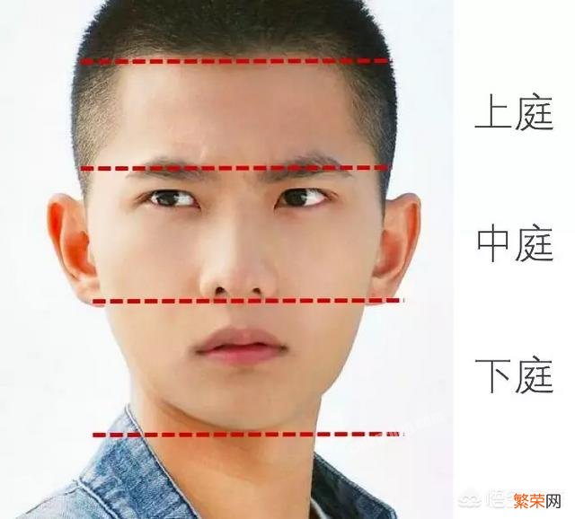 脸型和发型的关系有多大?