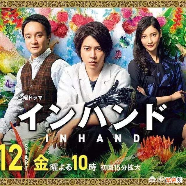 最近在追的日剧是哪部?