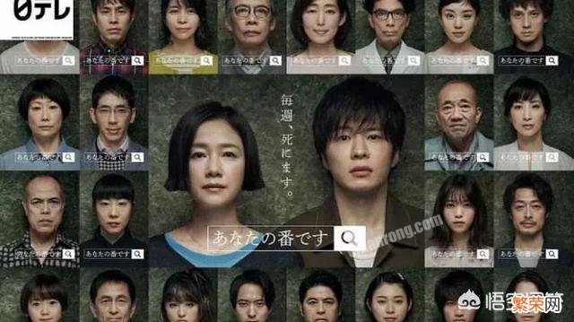 最近在追的日剧是哪部?