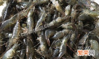 青虾如何养殖 青虾养殖方法