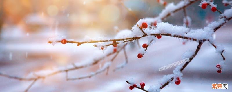 今年的冬天会冷到什么程度 今年冬天还会有多冷