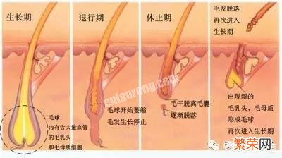 女生如何自己在家脱毛？