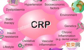 crp是什么 什么是crp