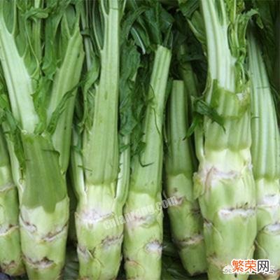 这是什么菜？