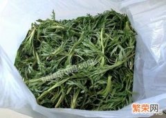 吉林人爱吃的柳蒿芽,最正宗的做法是什么？