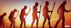 人类祖先的进化历程 人类祖先的进化历程纪录片