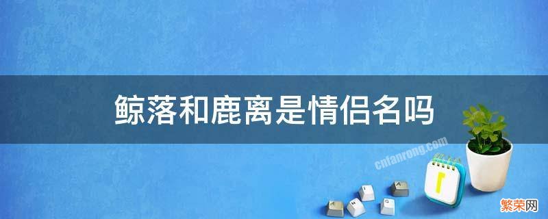 鲸落是情侣名字吗 鲸落和鹿离是情侣名吗