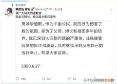 你怎么看待“国科大学生发表辱国言论后道歉”这件事？