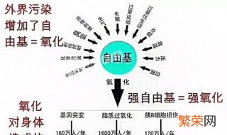 自由基卤代反应经历哪几个阶段变化 自由基卤代反应经历哪几个阶段