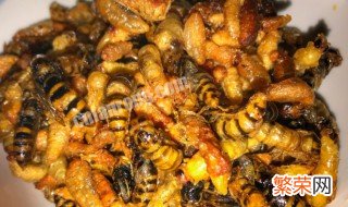 蜂蛹里面黑色的是什么可以吃吗 蜂蛹里面可以吃吗