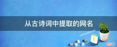 从古诗词中提取的网名 取自古诗词的网名