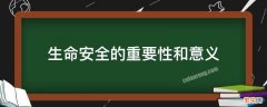 生命安全的重要性和意义 生命安全的重要性和意义班会