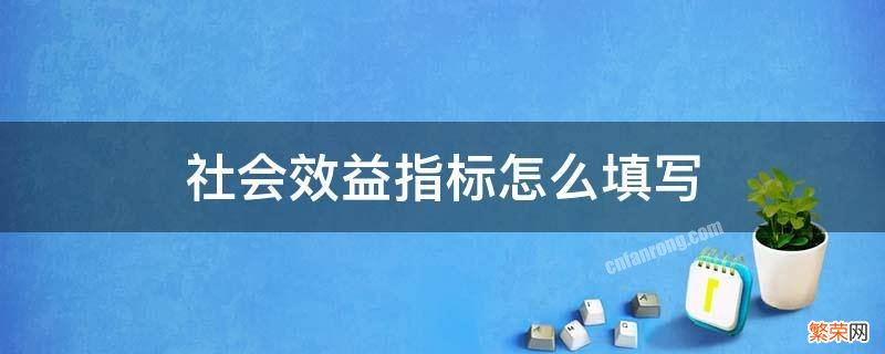 项目的社会效益指标怎么写 社会效益指标怎么填写