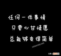 人常说：做事必须自己心甘情愿才有可能成功,对吗？为什么？