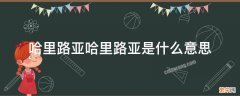 哈里路亚哈里路亚是什么意思 哈里路亚啥意思